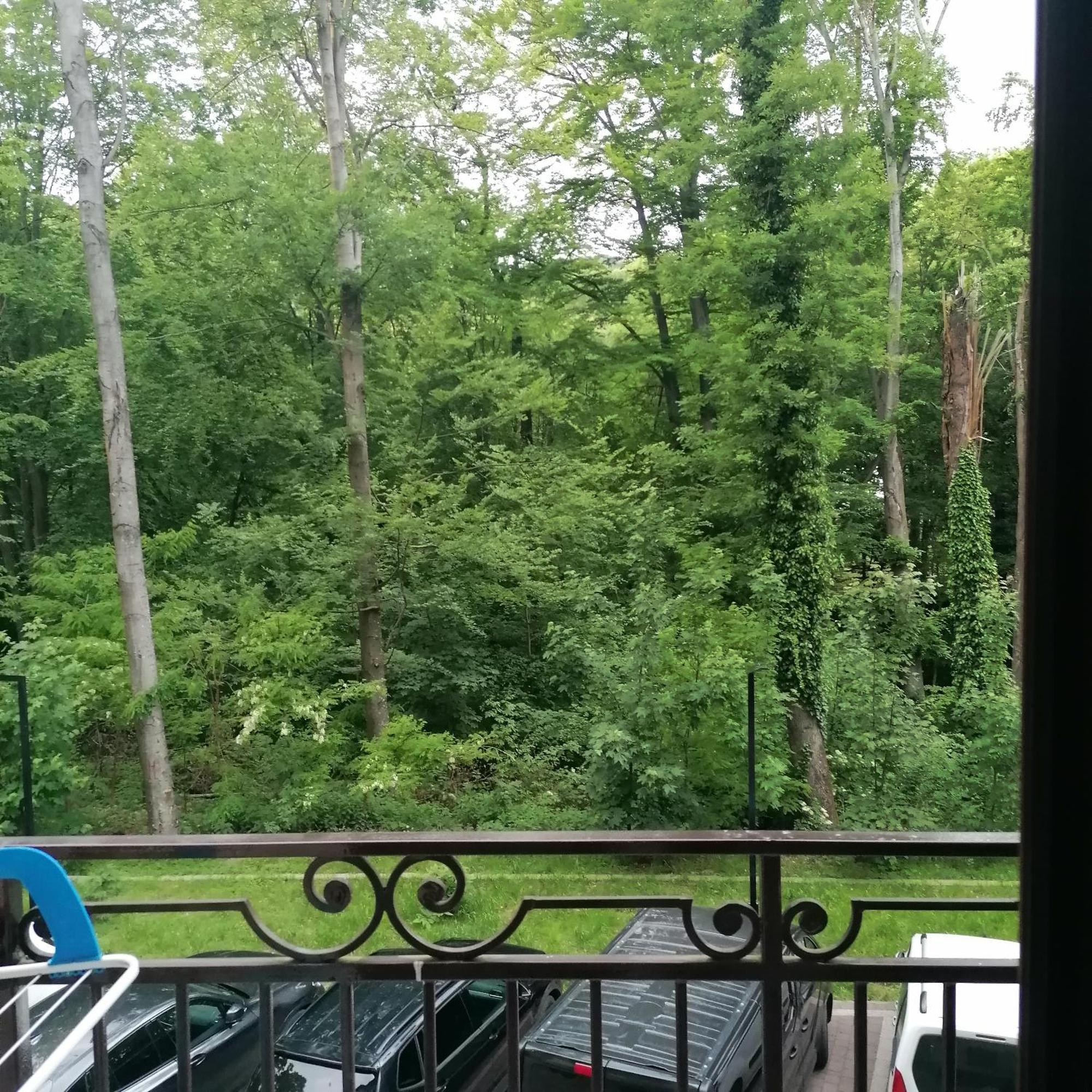 Карпатикайзервальд. Apartment Luaran gambar